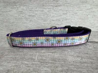 Pastel Checker Daisy Dog Collar 2