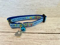Birthday Cake Cat Collar 1