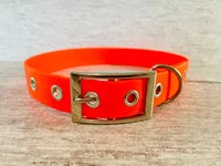 Sky Blue Biothane Waterproof Dog Collar 2