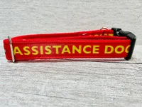 Red with Yellow Text Assistance Dog Alert Dog Lead 4