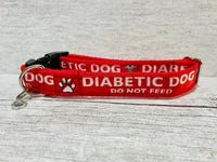 Diabetic Medical Alert Dog Collar 3