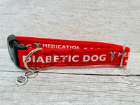 Diabetic Medical Alert Dog Collar 1