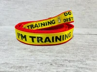 I'm Training Do Not Distract Ribbon Alert Dog Lead 2