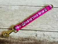 Give Me Space Alert Short Extension Dog Lead | UK 22