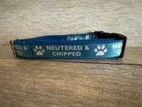 Neutered and Chipped Dog Collar 2