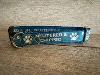 Neutered and Chipped Dog Collar 1