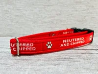Neutered and Chipped Dog Collar 4