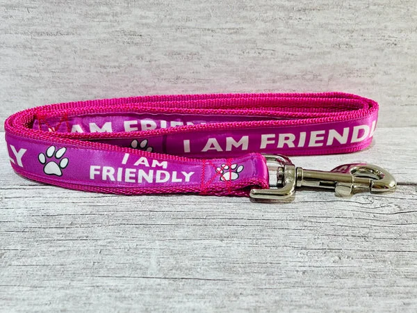 I am Friendly Ribbon Dog Lead