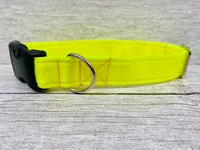 Plain Bright Yellow Hi-Viz Cushioned Webbing Dog Collar 1