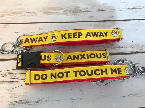Do Not Touch Me - Alert Dog Collar