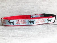 Labrador Santa's Little Helper Christmas Themed Dog Collar 5