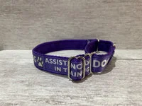 In Training Assistance Alert Dog Collar 8