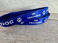 In Training Assistance Alert Dog Collar 4