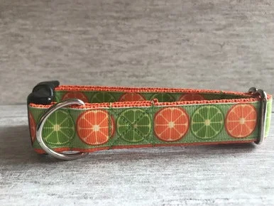 Lemon and Limes Dog Collar