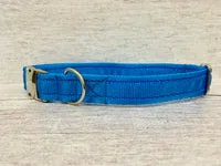 Plain Dog Collar with Silver Side Release 2