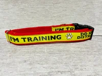 I'm Training Do Not Distract Alert Dog Collar 3