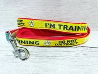 I'm Training Do Not Distract Alert Dog Collar 8