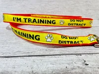 I'm Training Do Not Distract Alert Dog Collar 4