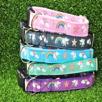 Unicorn Rainbow Dog Collar 2