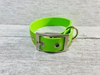 Pale Green Biothane Waterproof Dog Collar 2