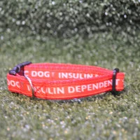 Epileptic Seizures - Diabetic Dog - Puppy/Small Dog Collar 6