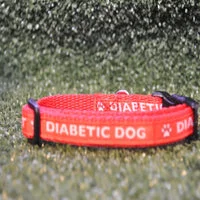 Epileptic Seizures - Diabetic Dog - Puppy/Small Dog Collar 4