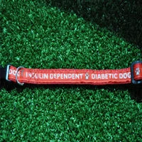 Epileptic Seizures - Diabetic Dog - Puppy/Small Dog Collar 5