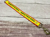 Alert Short Extension Dog Lead | UK 9