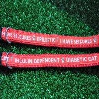 Epileptic Seizures - Diabetic Cat - Medical Alert Cat Collar 5