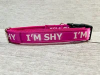 I'm Shy - Shy Alert Dog Collar 2