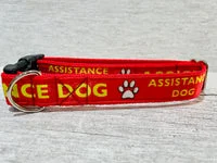 Red with Yellow Text Assistance Alert Dog Collar 2