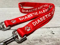 Diabetic Alert Dog Medical Alert Dog Lead 2
