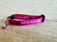 Blue Marriage Wedding Puppy Collar Will you Marry Me? 3