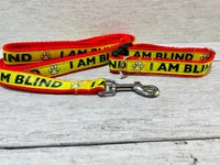 I am Blind Dog Collar - Yellow on Red Alert 5