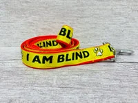 I am Blind Dog Collar - Yellow on Red Alert 3