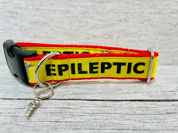 Yellow on Red Epileptic - Medical Alert Dog Collar