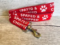Spayed & Chipped Lead Alert 1