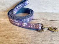 Spayed & Chipped Lead Alert 2