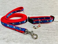 Rocket Space Puppy/ Puppy/Small Dog Collar 1