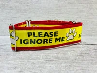 Please Ignore - Support Alert Dog Collar 10