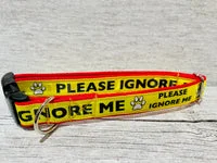 Please Ignore - Support Alert Dog Collar 3