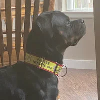 Please Ignore - Support Alert Dog Collar 15