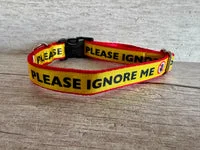 Please Ignore - Support Alert Dog Collar 2