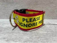 Please Ignore - Support Alert Dog Collar 11