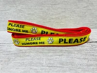 Please Ignore - Support Alert Dog Collar 6
