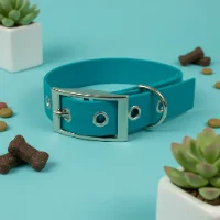 Teal Biothane Waterproof Dog Collar