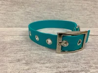 Teal Biothane Waterproof Dog Collar 3