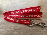 Assistance Dog Lead 1
