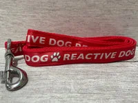 Solid Colour Reactive Alert Dog Lead 4