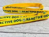 Solid Colour Reactive Alert Dog Lead 2